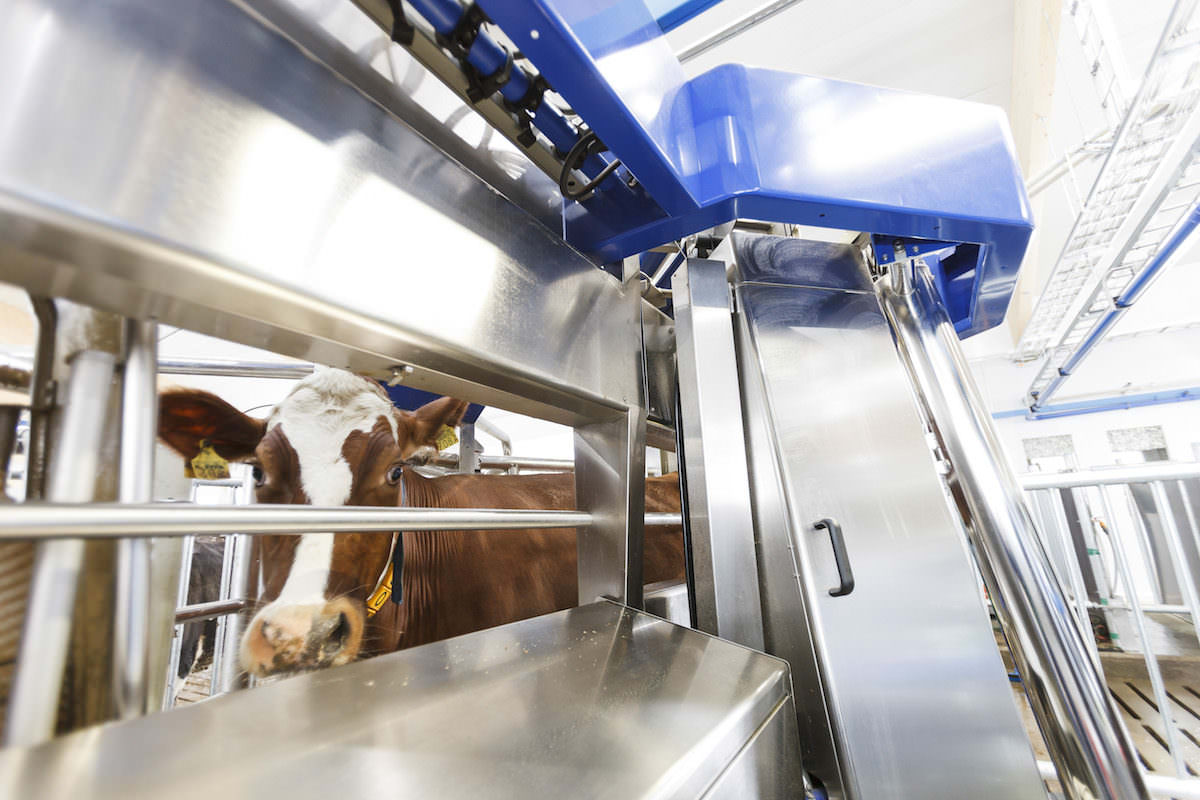 milking robots market