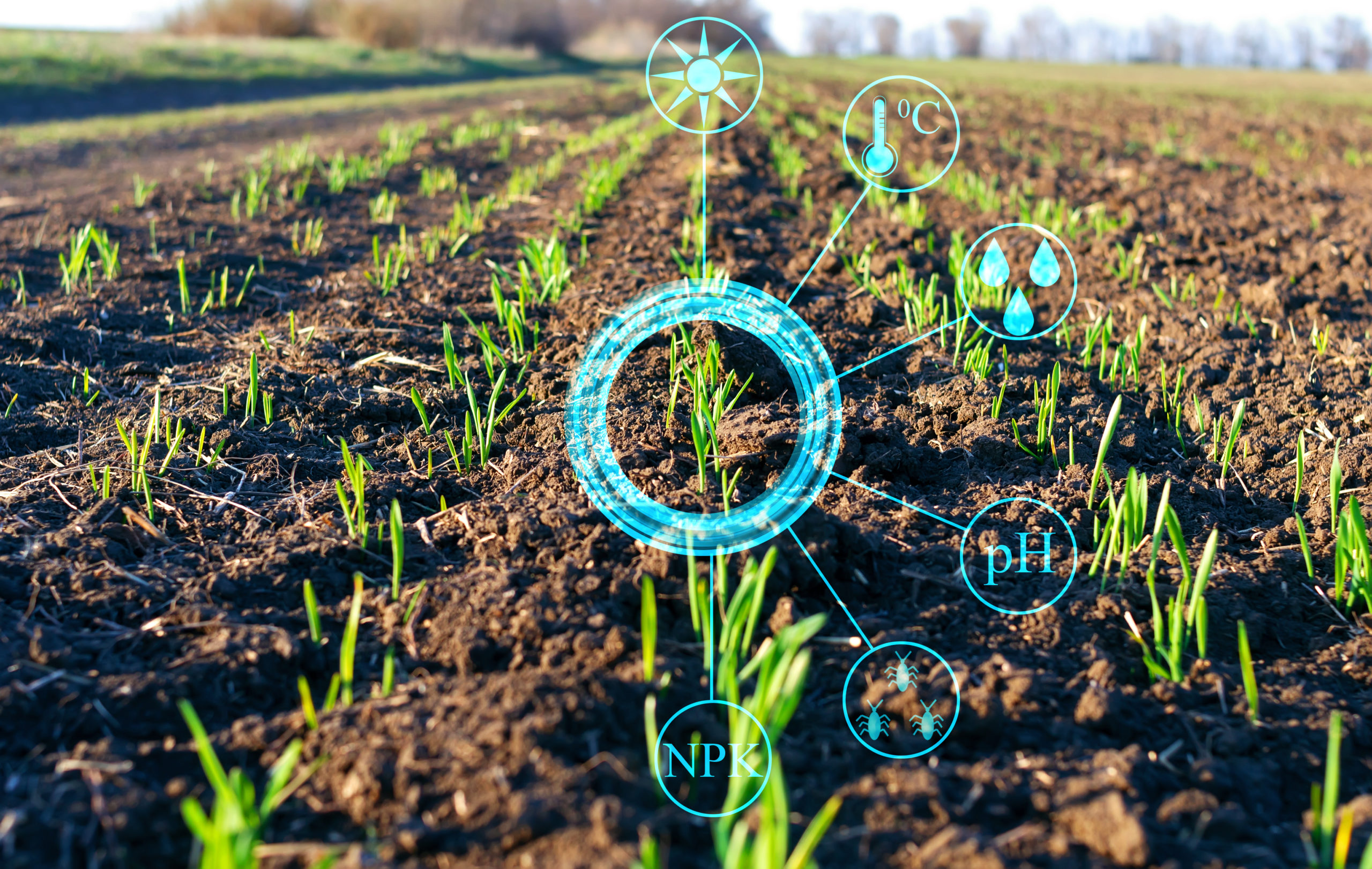 artificial intelligence in agriculture market